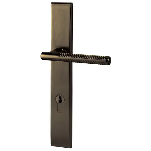 Baldwin MP013050FD4 Lakeshore Multi Point Trim Full Dummy Configuration 4 Antique Brass Finish