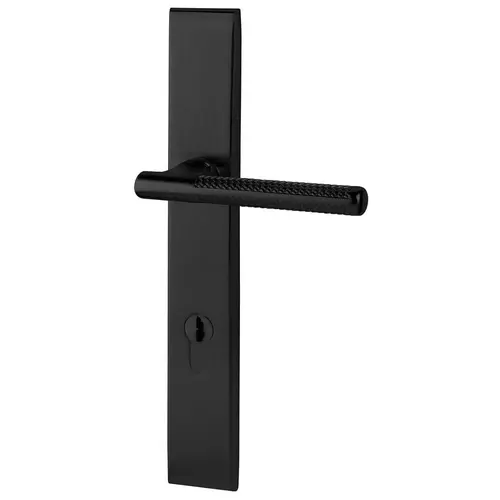 Baldwin MP013190PAT4 Lakeshore Multi Point Trim Patio Configuration 4 Satin Black Finish