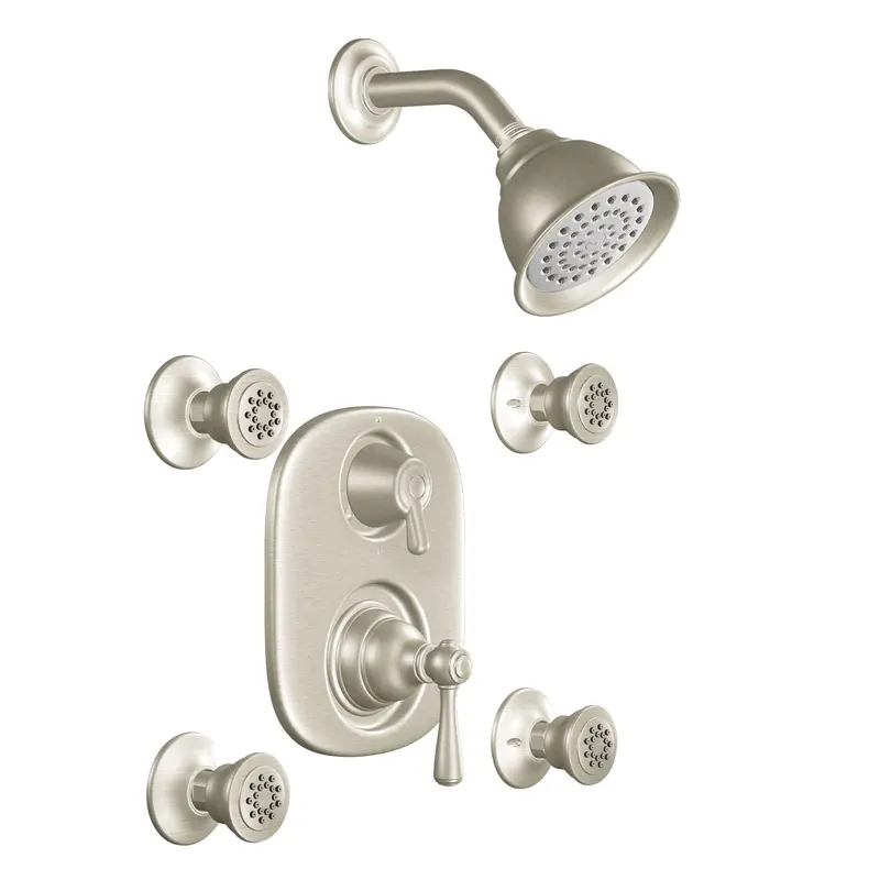 Kingsley Brushed nickel Moentrol(R) vertical spaBrushed Nickel