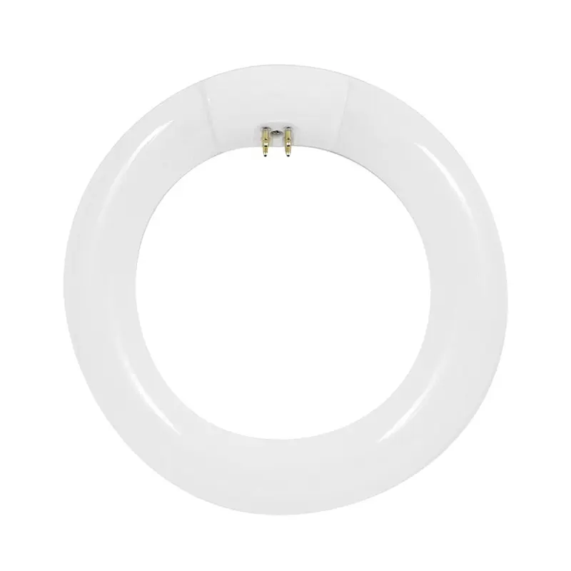 120-Watt Equivalent Circline T9 Non-Dimmable 4-Pin Base Compact Fluorescent CFL 9 in Light Bulb, Cool White 4100KCool White / 0.46 / G10q