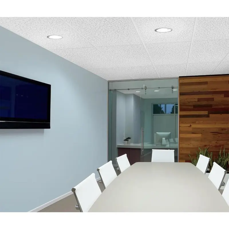 Armstrong Ceilings 48-in x 24-in Random Textured Contractor 10-Pack White Fissured 15/16-in Drop Acoustic Panel Ceiling Tilessq/ft