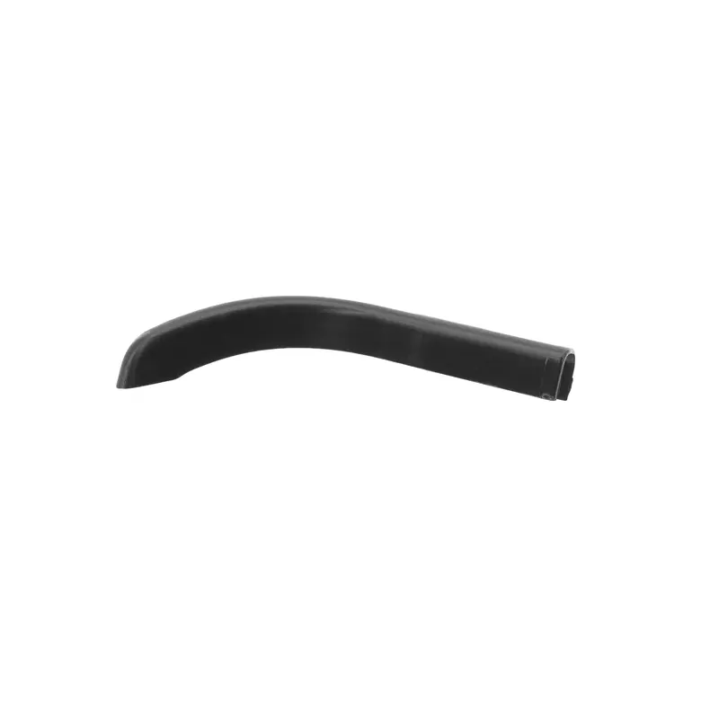 End Piece/Cap Gutter Trim (Passenger Front or Driver Rear)