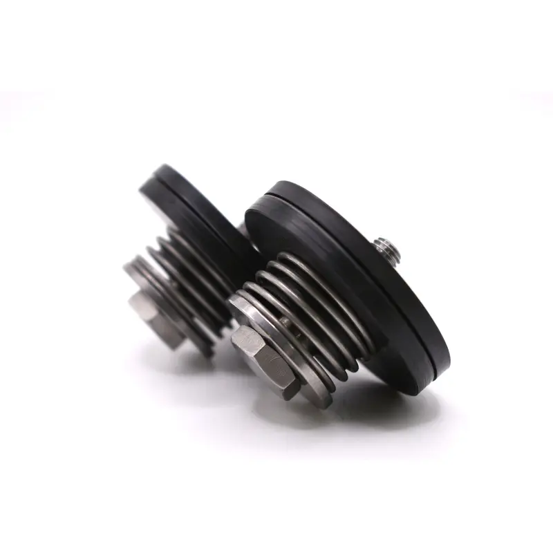 Busch Exhaust Valve Replacement - 0916.529.297P