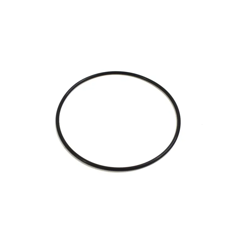 Champion O-Ring Replacement - EFC85387979