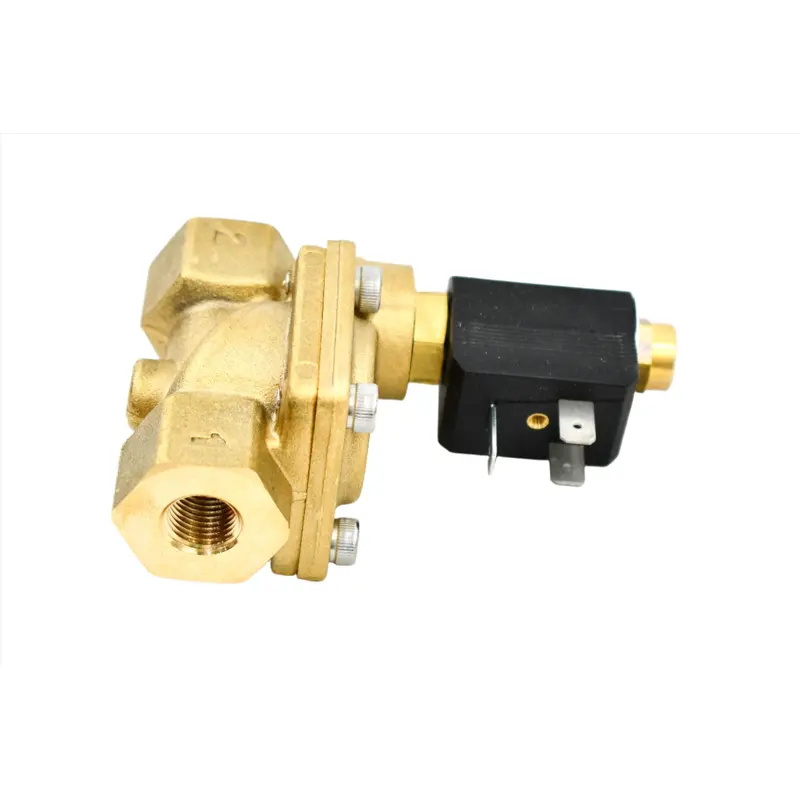 ELGi Solenoid Valve Replacement - 160-0871-S