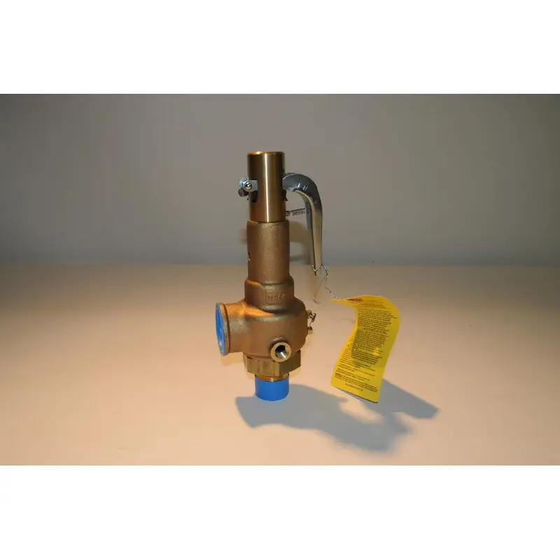 Ingersoll Rand Safety Valve Replacement - 39117338