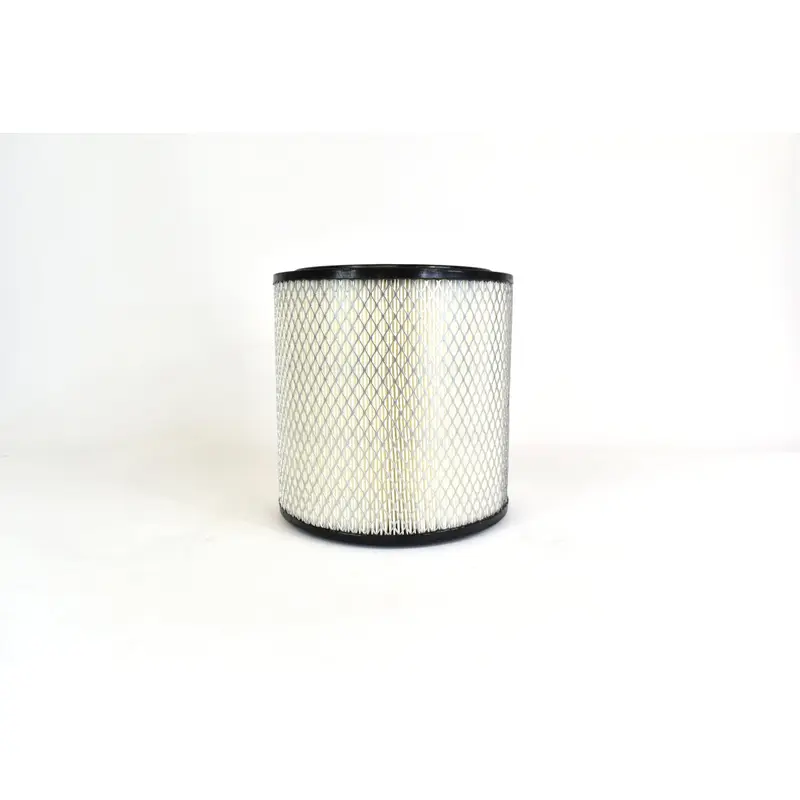 Joy Air Filter Replacement - 3606283-21