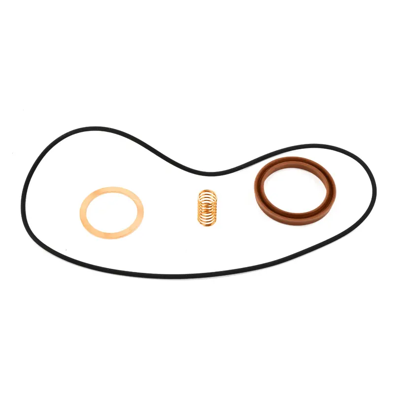 Kaeser Inlet Valve Kit Replacement - 404444.00020