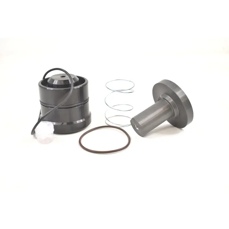 Kaeser Minimum Pressure Check Valve Kit Replacement - 402313.0