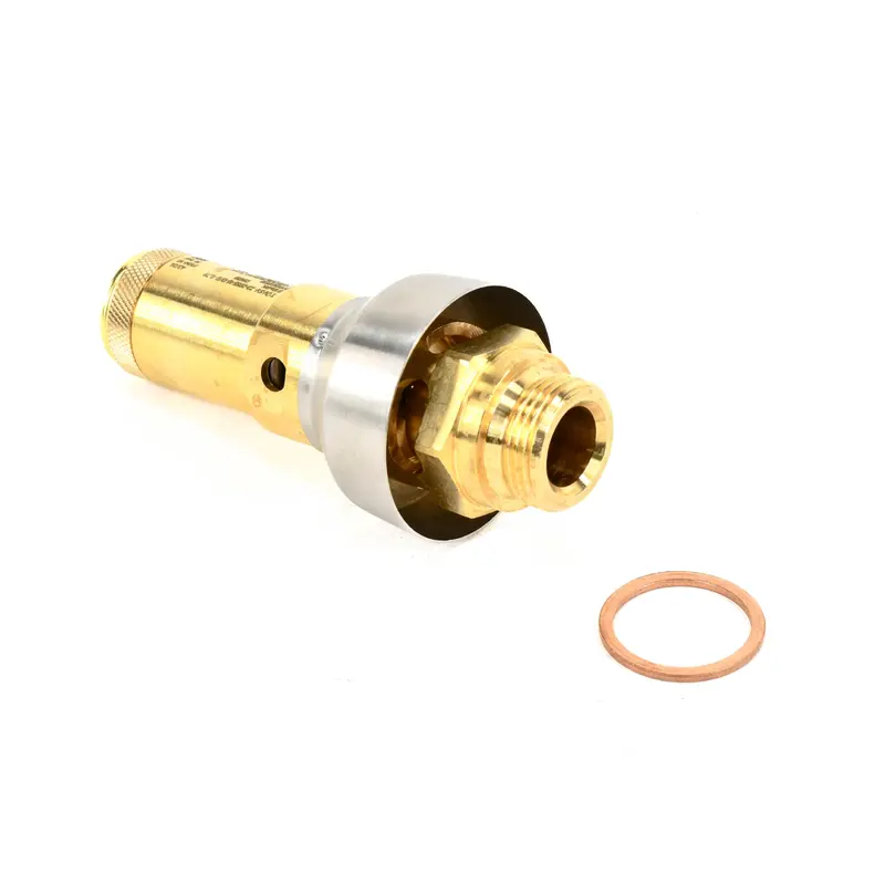 Kaeser Pressure Relief Valve Replacement - 8.8805E01