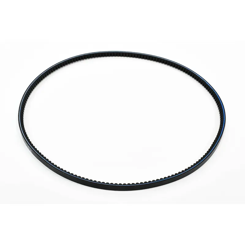 Quincy Belt Replacement - 2204198160