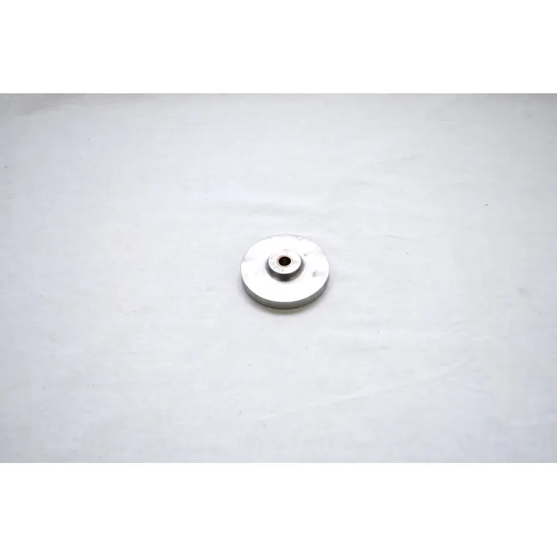 Quincy Inlet Valve Plate Replacement - 128853