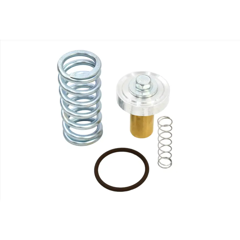 Quincy Minimum Pressure Check Valve Service Kit Replacement - 128813-054