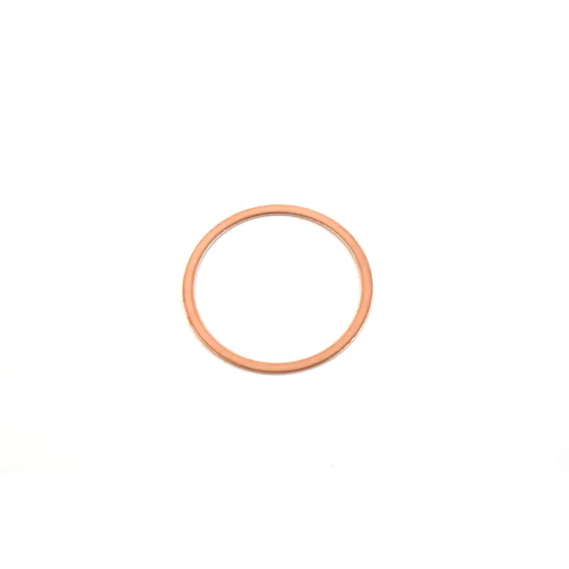 Saylor-Beall Valve Gasket Replacement - 4087