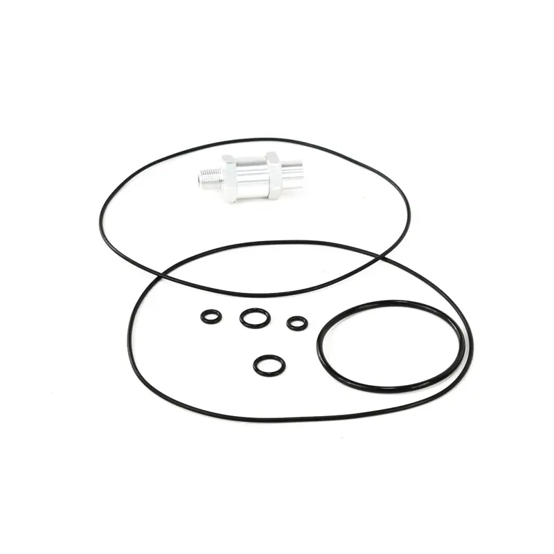 Ingersoll Rand Ring and Filter Kit - 38440913