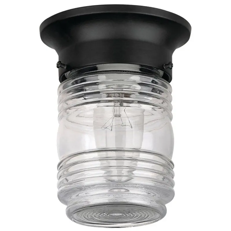 Canarm IOL105BK Outdoor Light, Incandescent Lamp, Aluminum Fixture, Black