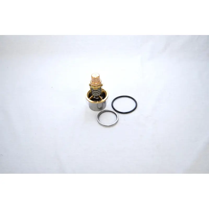 Quincy Thermal Valve Kit Replacement - 22331-002