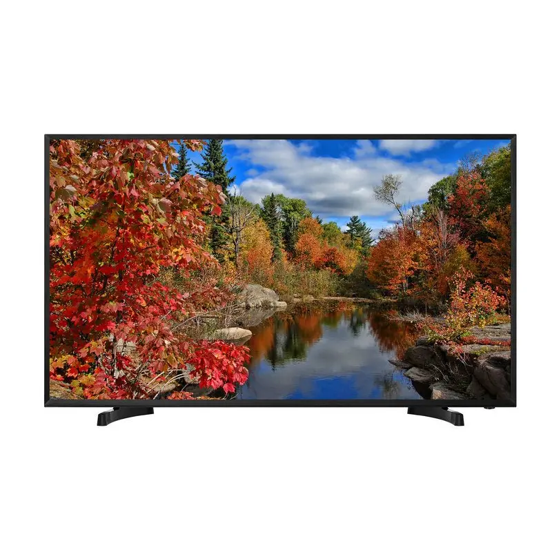 Hisense Digital Signage Display - 65"