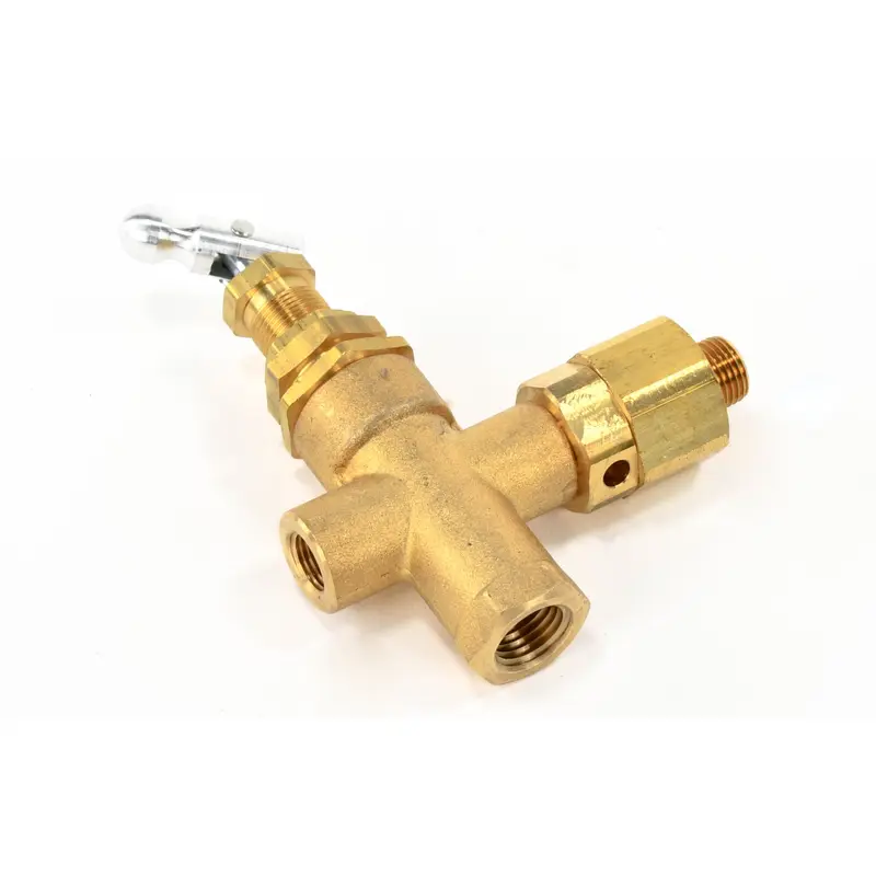Champion Pilot Valve Replacement - VP1089041