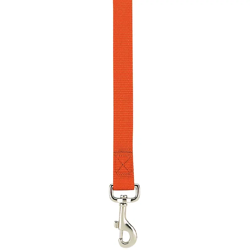 Casual Canine ZM2392 64 69 Dog Lead, 6 ft L, 5/8 in W, Nylon, Orange