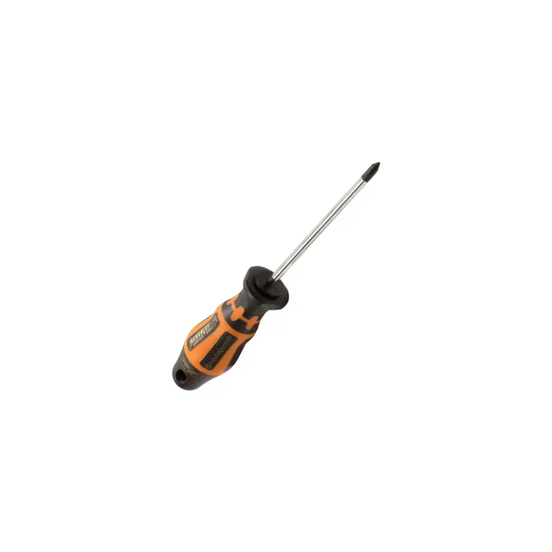 Retta phillips screwdriver 1x100 | RPY5100
