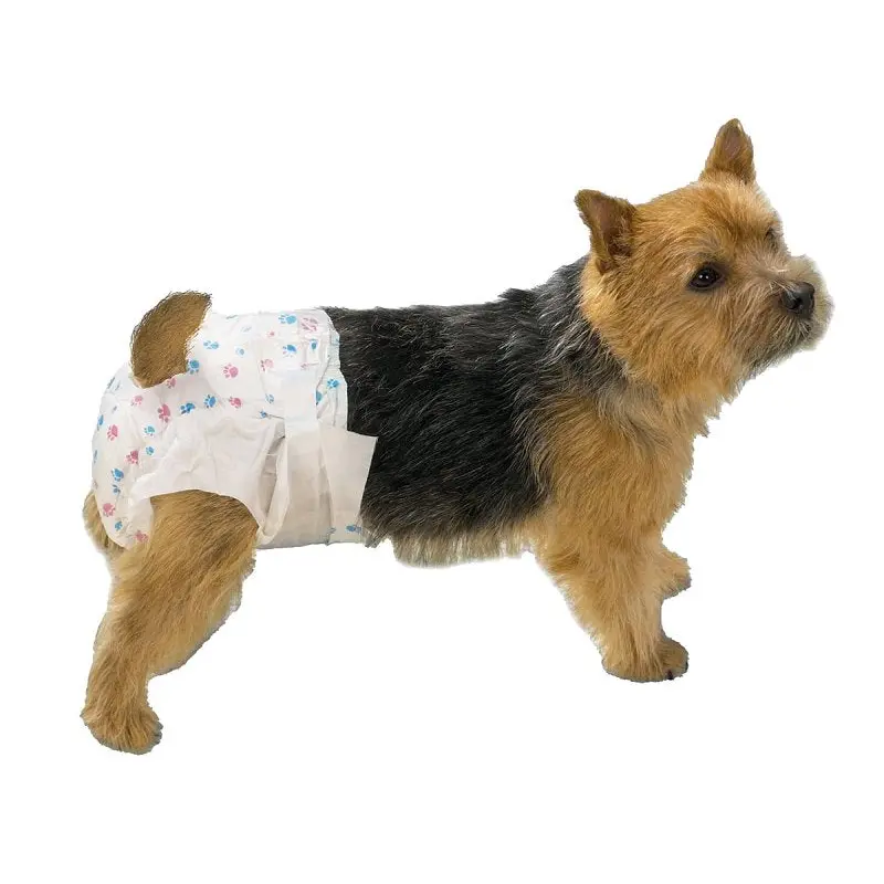Clear Quest US948 08 Disposable Doggy Diaper