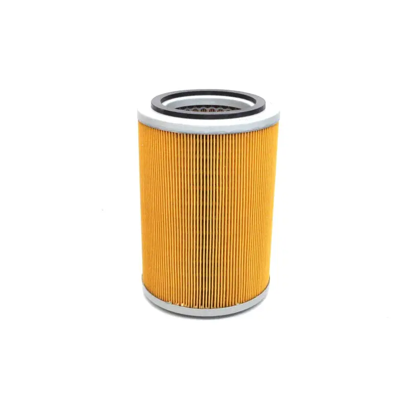 Busch Air Filter Replacement - 945.008.01