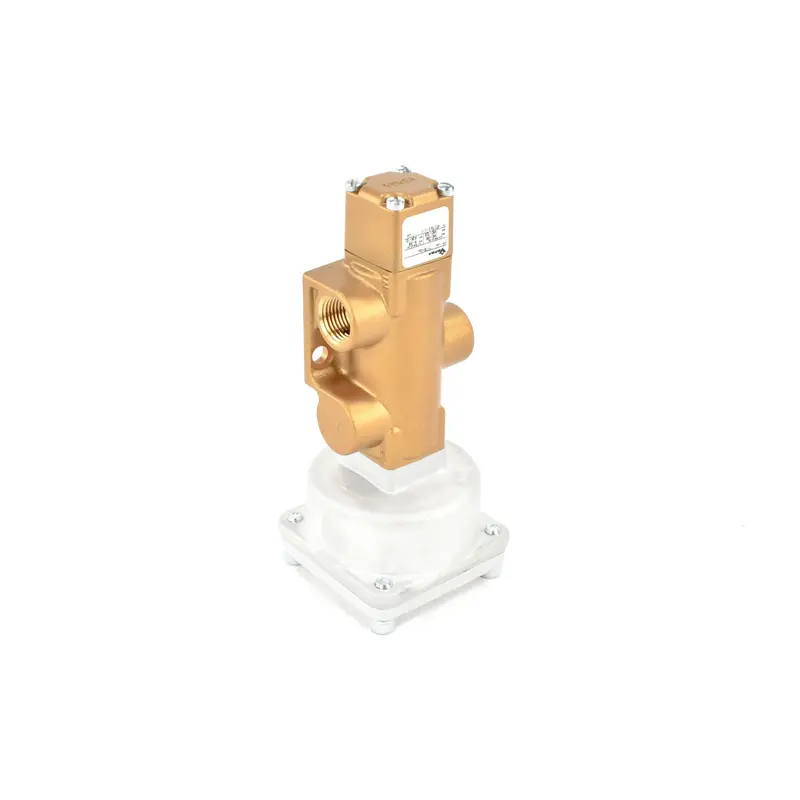 Gardner Denver Purge Valve Replacement - 90AR51