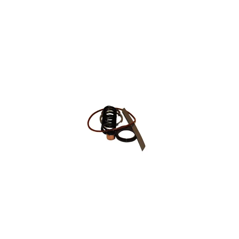 Gardner Denver Minimum Pressure Valve Assembly Kit Replacement - EFC89555599