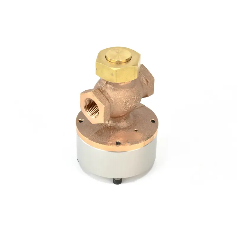 Sullair Blowdown Valve Replacement - 02250120-888