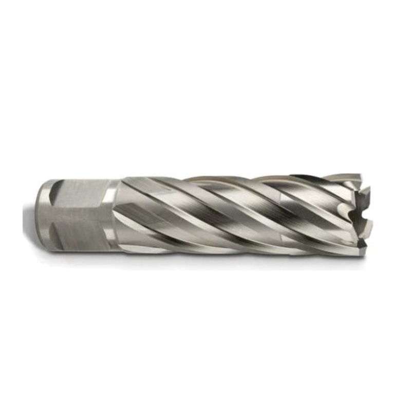 FEIN 6 31 34 206 04 2 Annular Cutter, 13/16 in Dia Cutter, 2 in D Cutting